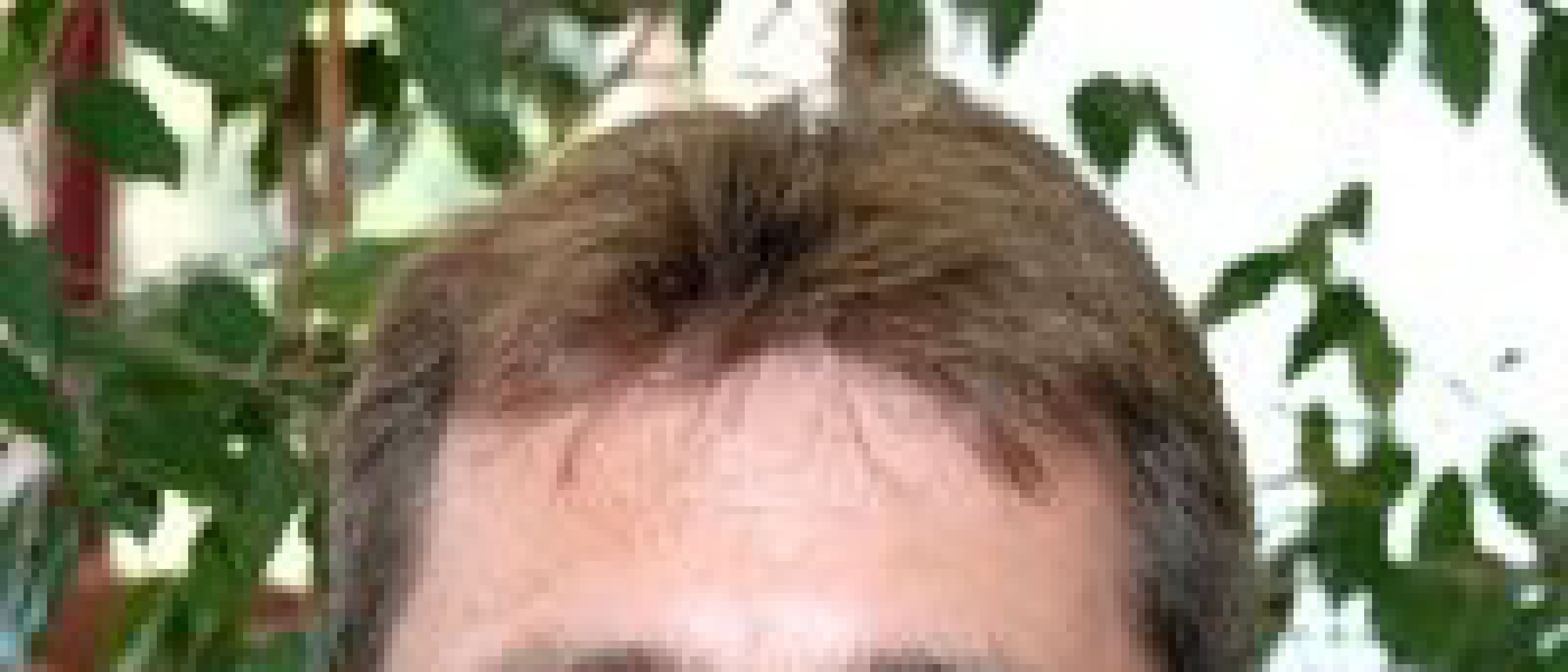 Alan Bridge