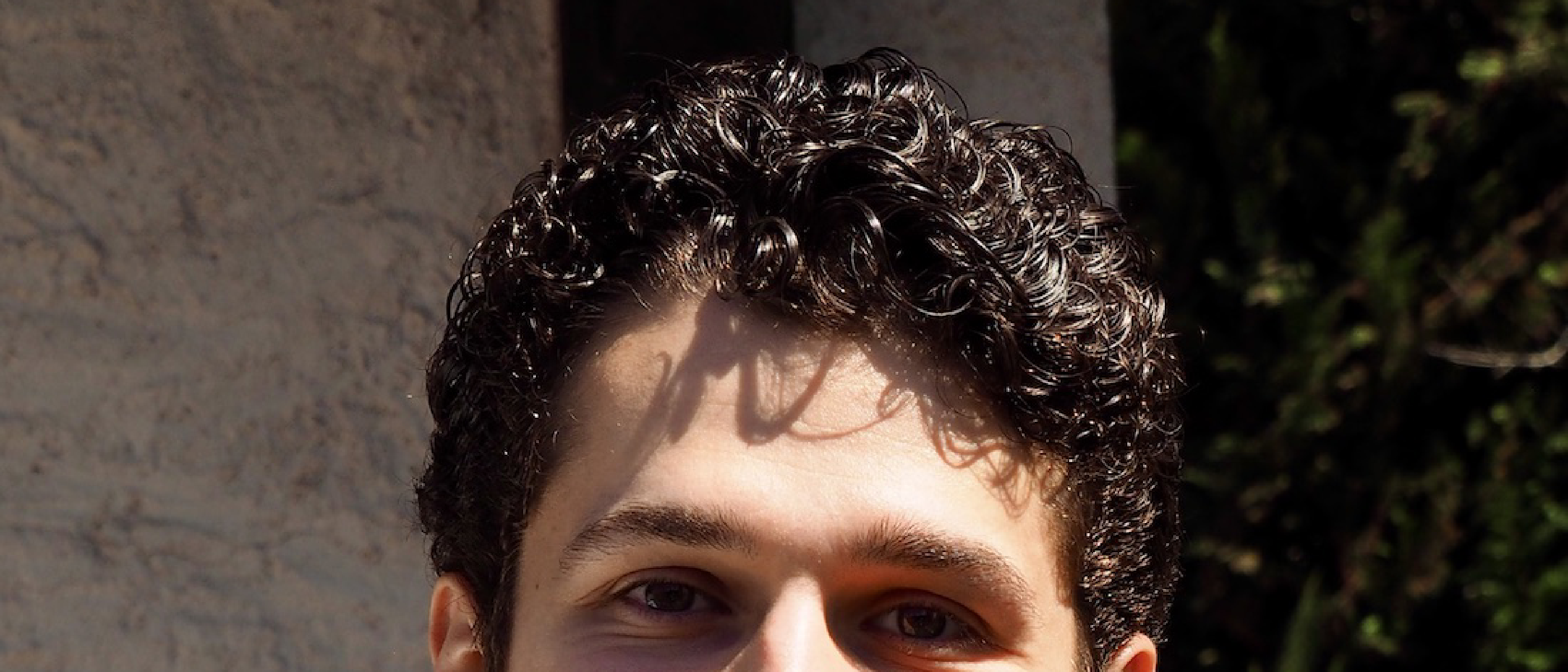 Marco Visani