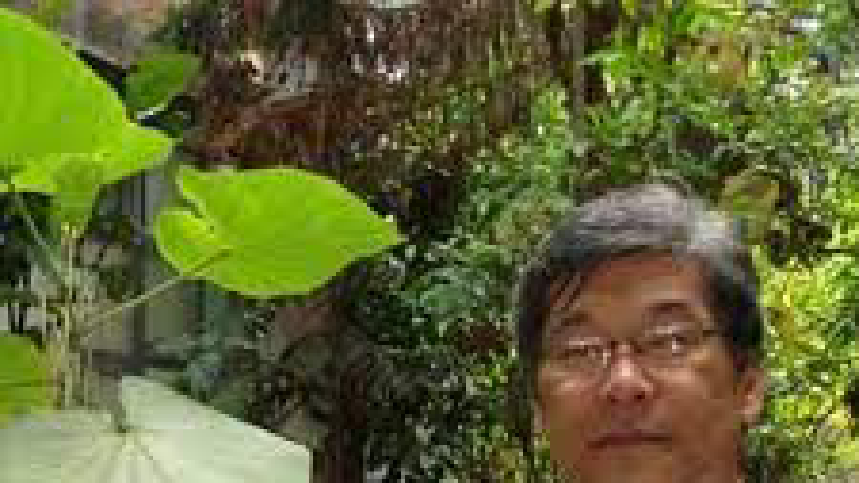 Massuo Jorge Kato