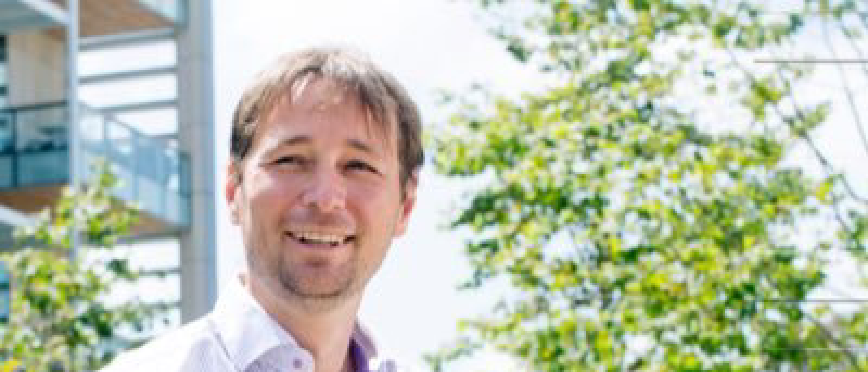 Pieter Dorrestein