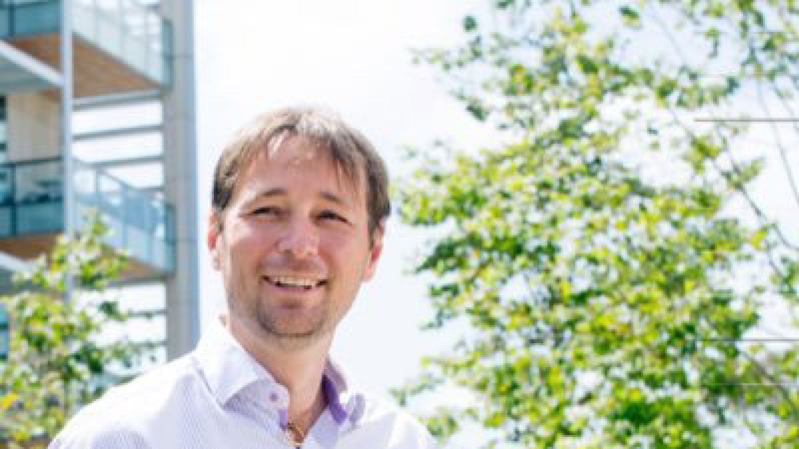 Pieter Dorrestein